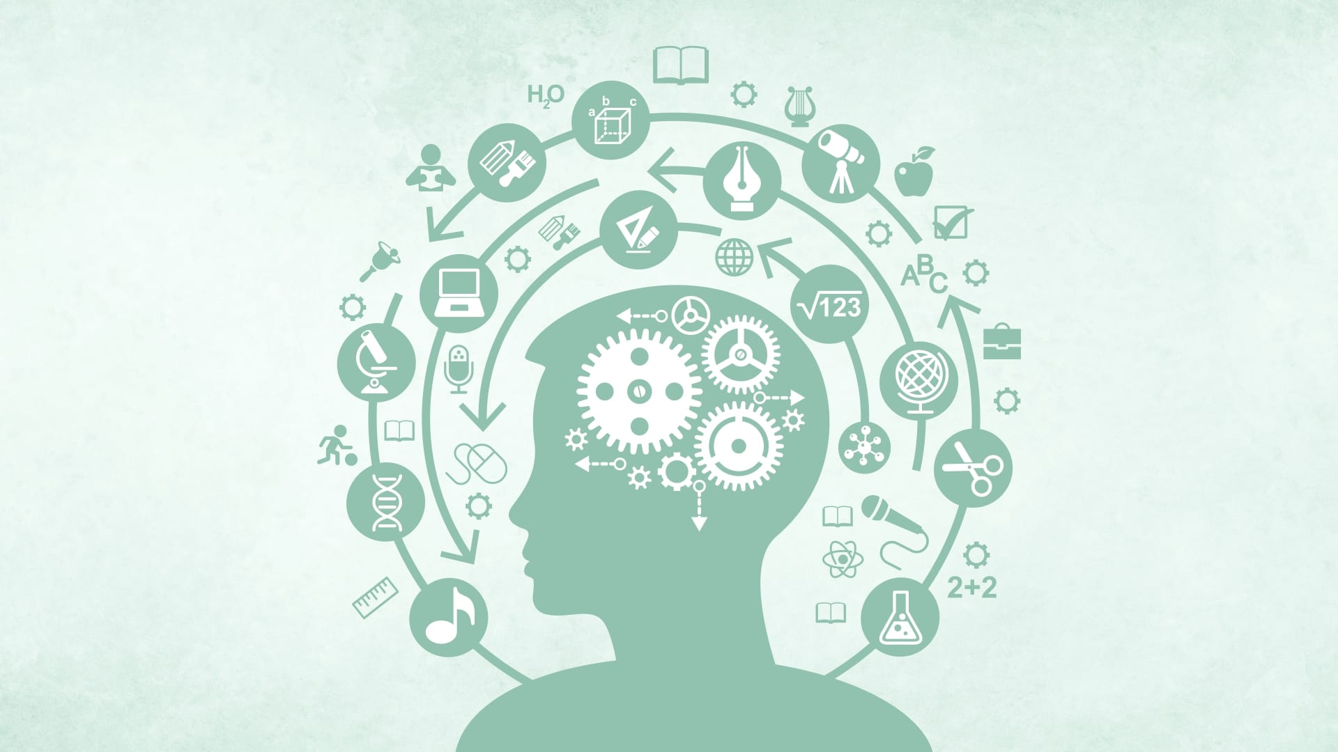 Cambridge Curriculum