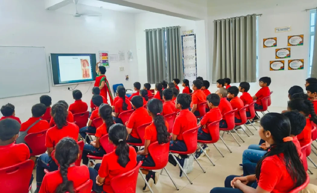 Adolescence & Puberty