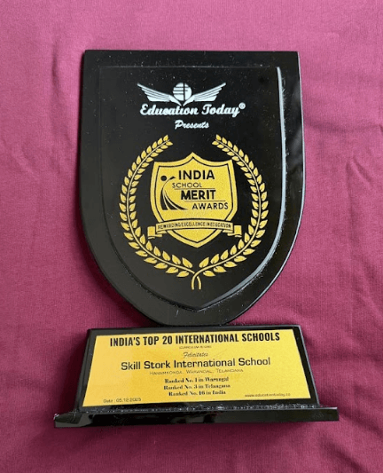 School Merit Excellence Trophy