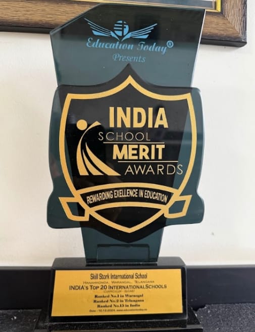 State Excellence Merit Award